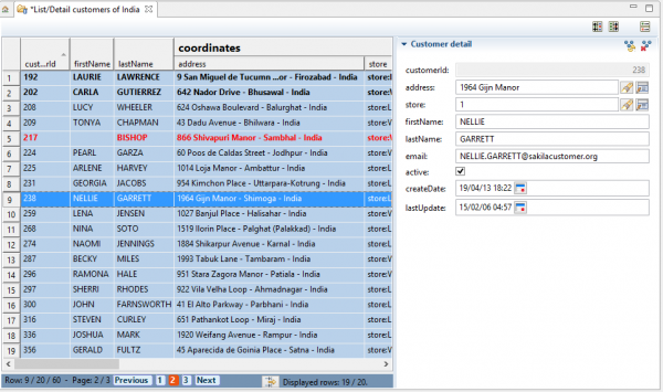  Customer List/Detail (customized)